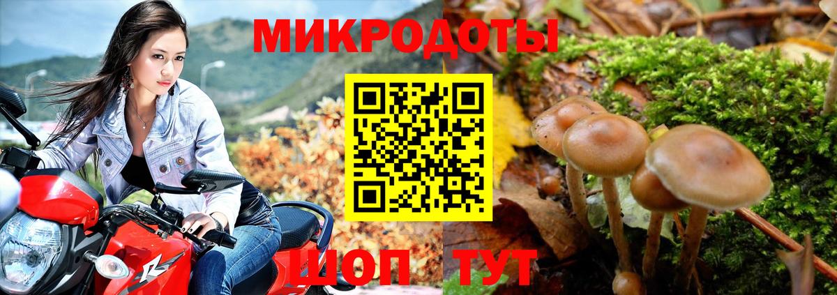 Нарткала  Псилоцибиновые грибы Magic Shrooms  Вход с VPN  Псилоцибиновые грибы Psilocybine cubensis 